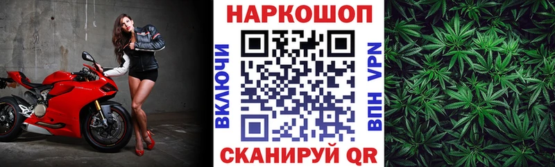 МЕФ Северск