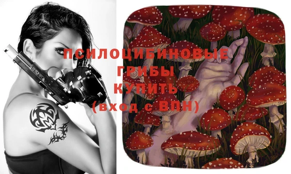 бутират Верея