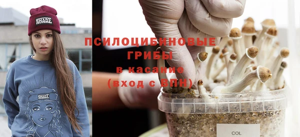мдма Верхний Тагил