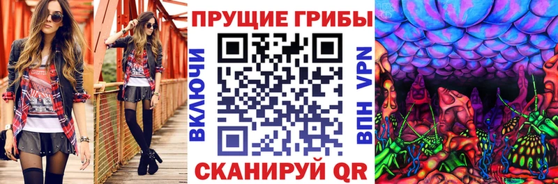 Галлюциногенные грибы MAGIC MUSHROOMS хочу наркоту Северск