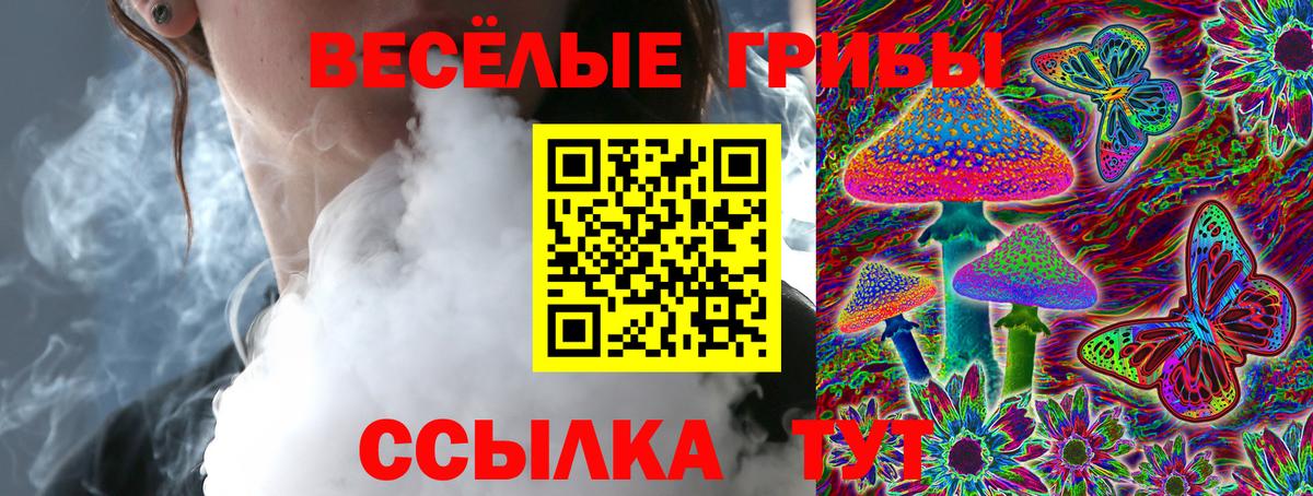 Псилоцибиновые грибы Magic Shrooms  где продают   Северск  Вход с VPN 