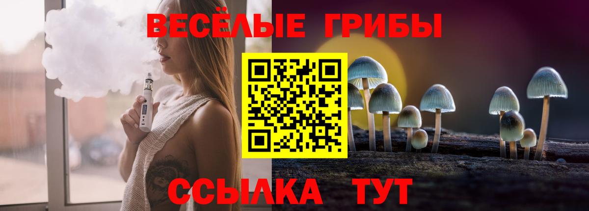 Псилоцибиновые грибы мухоморы Северск